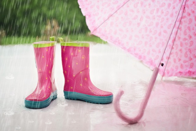 fuertes lluvias en japon